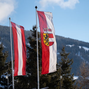 Bundesländer-Fahnen Österreich Flagge & Fahne online kaufen