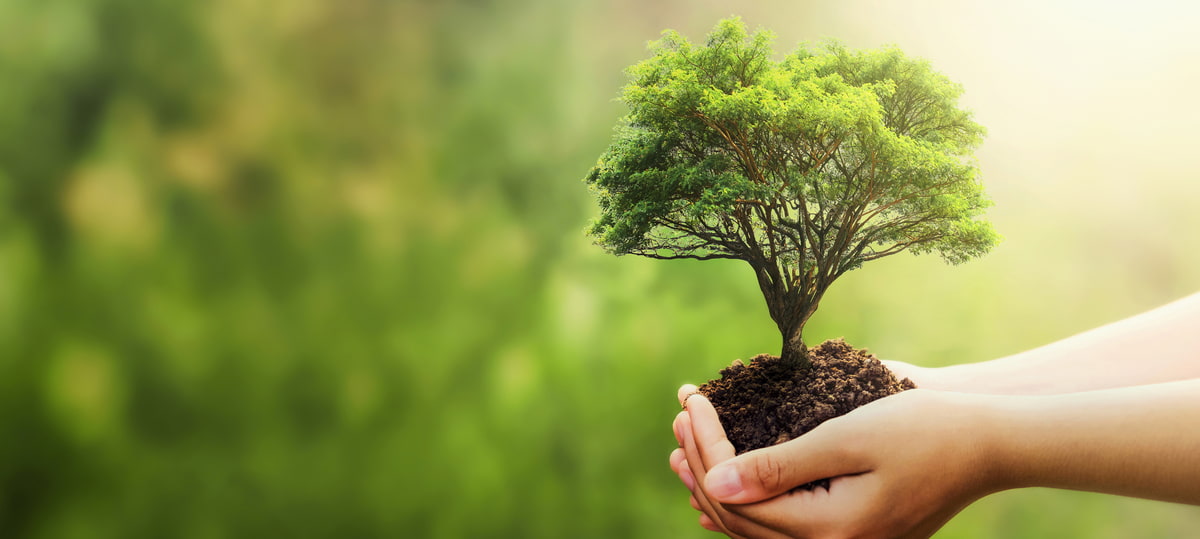 Sustainability image